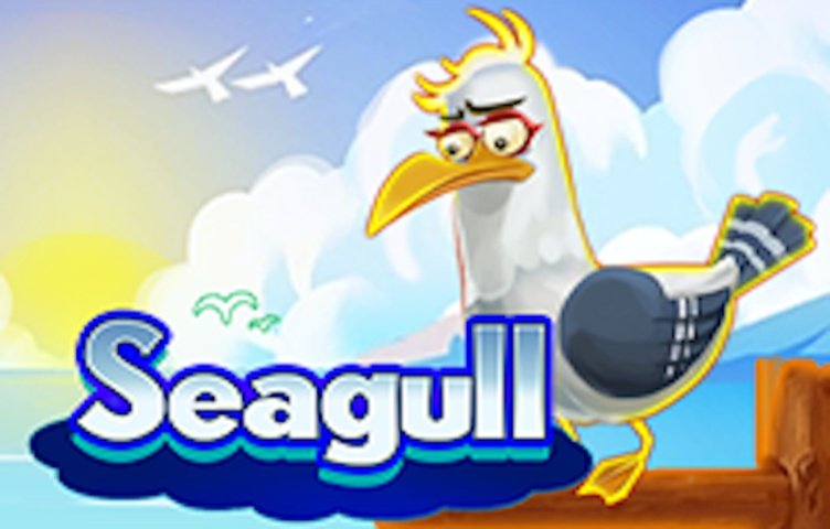 Seagull