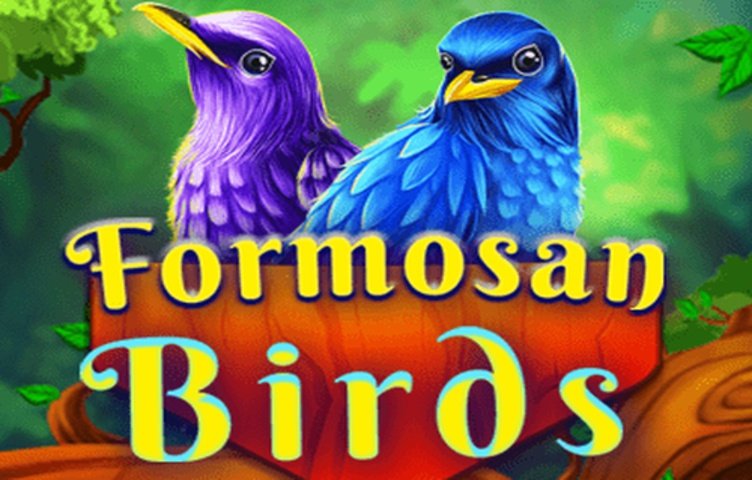 Formosan Birds